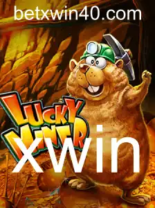 Descubra o Mundo do Jogo LuckyMiner e a Tendência xwin